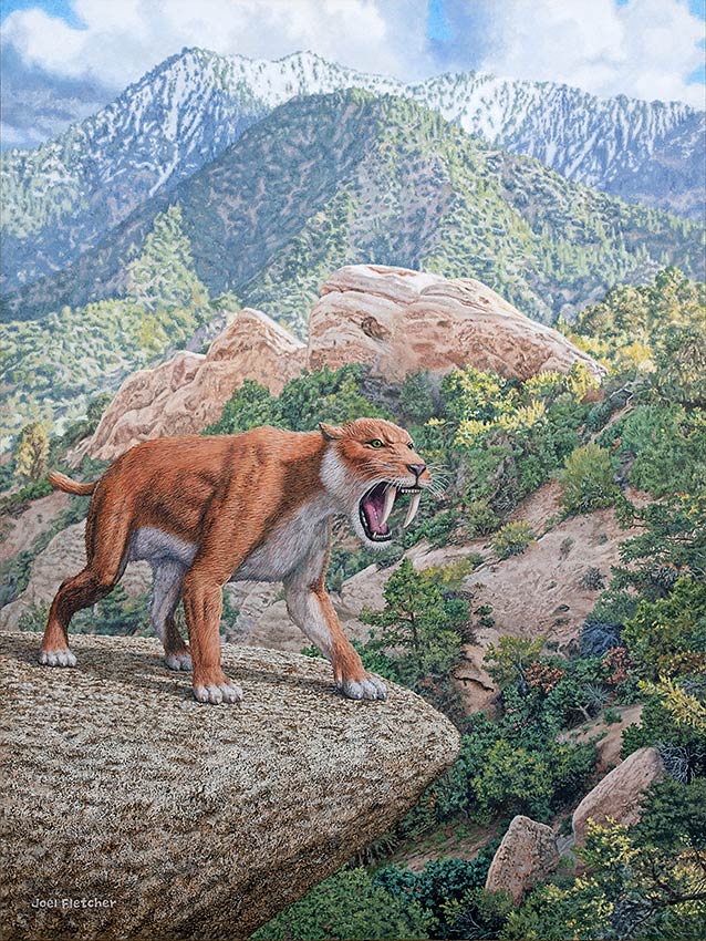 A magnificent sabertooth cat roars in a mountain landscape.